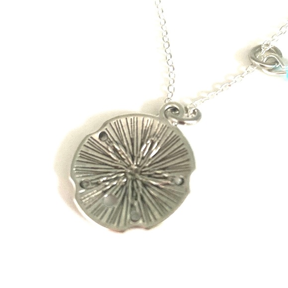 Sand Dollar Necklace Beach - Picture 8 of 8